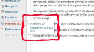 Platinum-seo-pack-ebiznes
