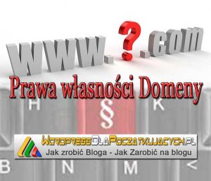 prawa-wlasnosci-domeny-ebiznes