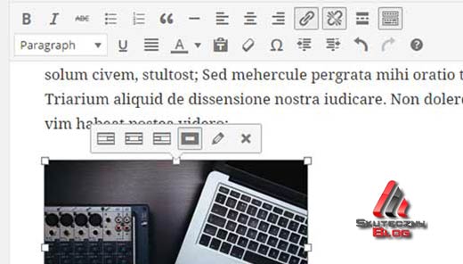 Wordpress-4.1-Edycja-obrazu-wordpress-dla-poczatkujacych-eniznes