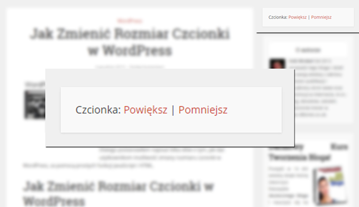 Jak-Zmienic-Rozmiar-Czcionki-w-WordPress-dla-poczatkujacych-irek-wrobel-ebiznes