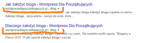 Jak-zainstalowac-i-skonfigurowac-WordPress-SEO-Plugin-by-Yoast-wordpress-dla-poczatkujacych-9-ebiznes