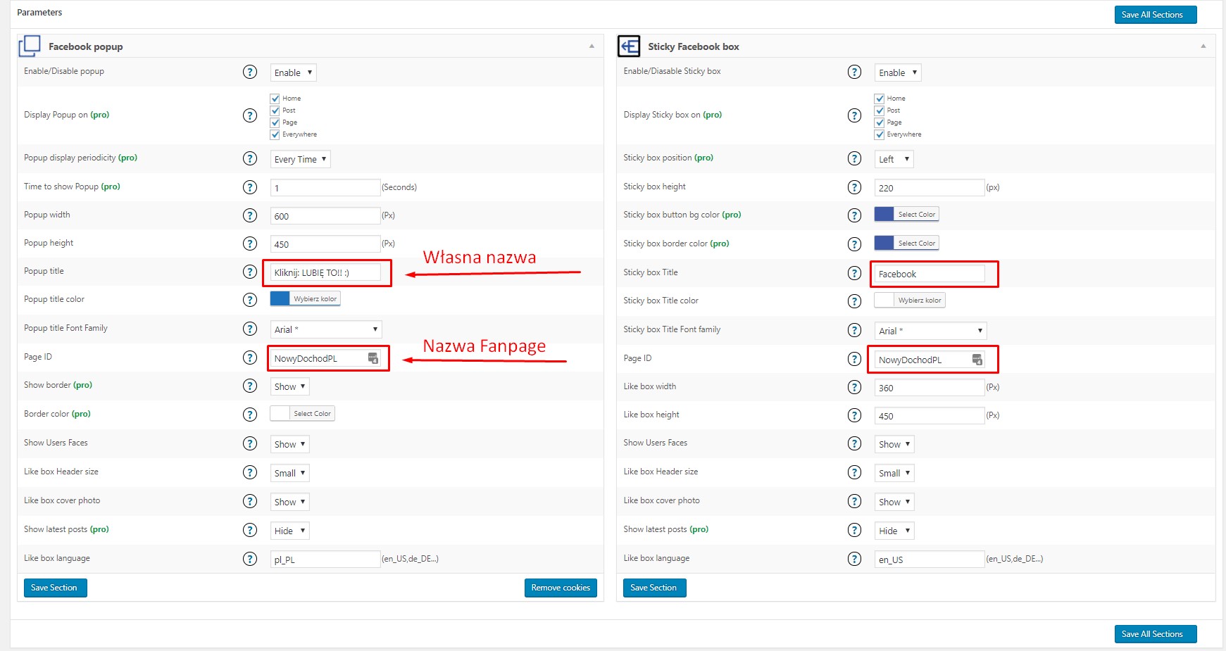 wordpress-dla-poczatkujacych-irek-wrobel-like-box-ebiznes