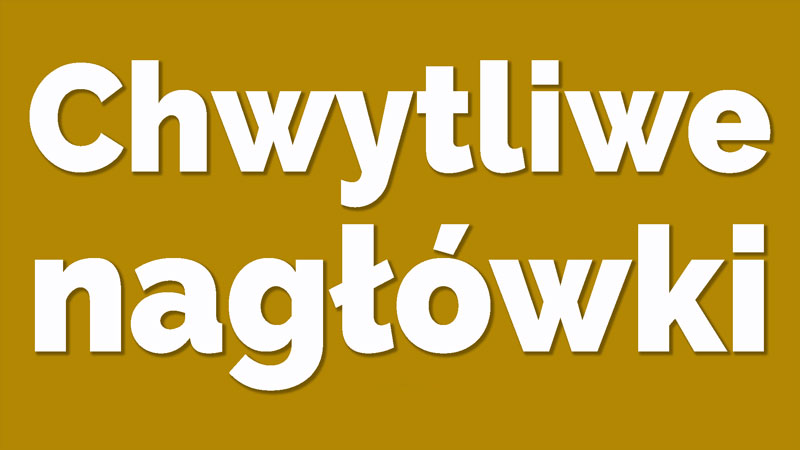 chwytliwe-naglowki-wordpress-dla-poczatkujacych-ebiznes