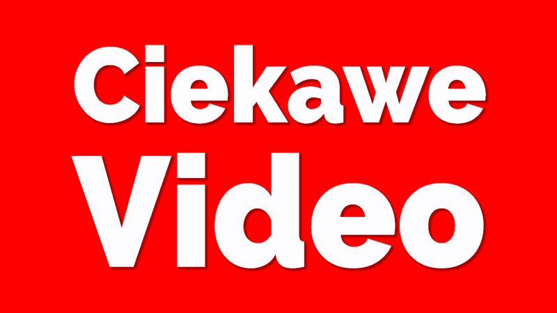 ciekawe-video-wordpress-dla-poczatkujacych-ebiznes