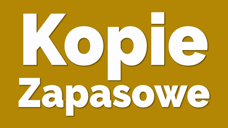 kopie-zapasowe-wordpress-dla-poczatkujacych-ebiznes