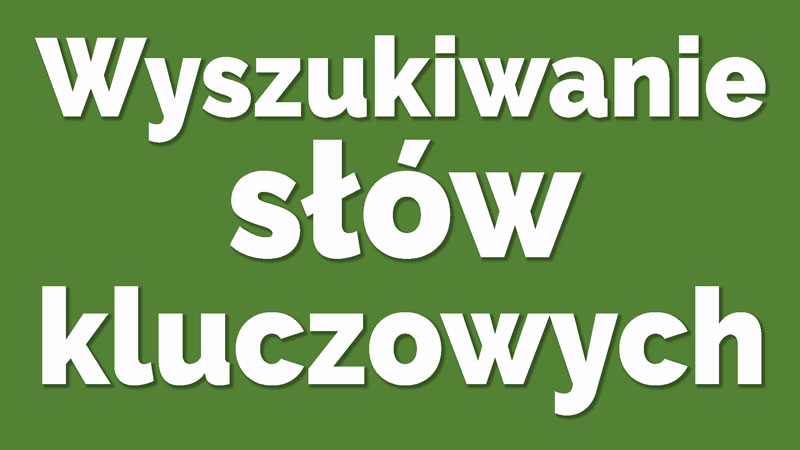 wyszukiwanie-slow-kluczowych-wordpress-dla-poczatkujacych-ebiznes
