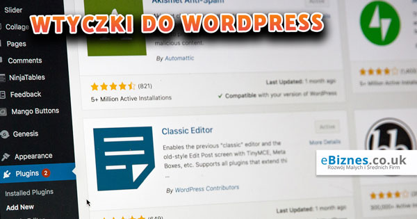wtyczki-do-wordpress-ebiznes